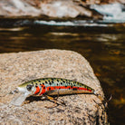Rebel Teeny Wee Crawfish 1/10 oz Fishing Lure - Forza Sports