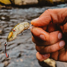 Rebel Super Teeny Wee-R 1/8 oz Fishing Lure - Tennessee Shad Rebel