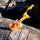 Pyro Putty Single Use - 20 Pack - Forza Sports