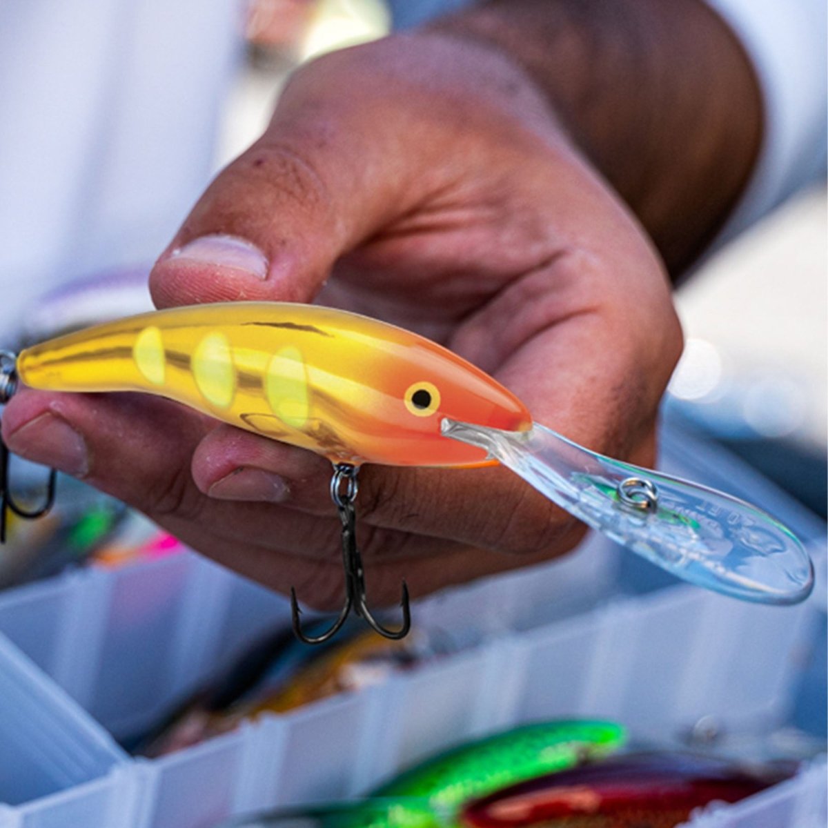 Rapala Deep Tail Dancer 09, Fishing Lure - Forza Sports