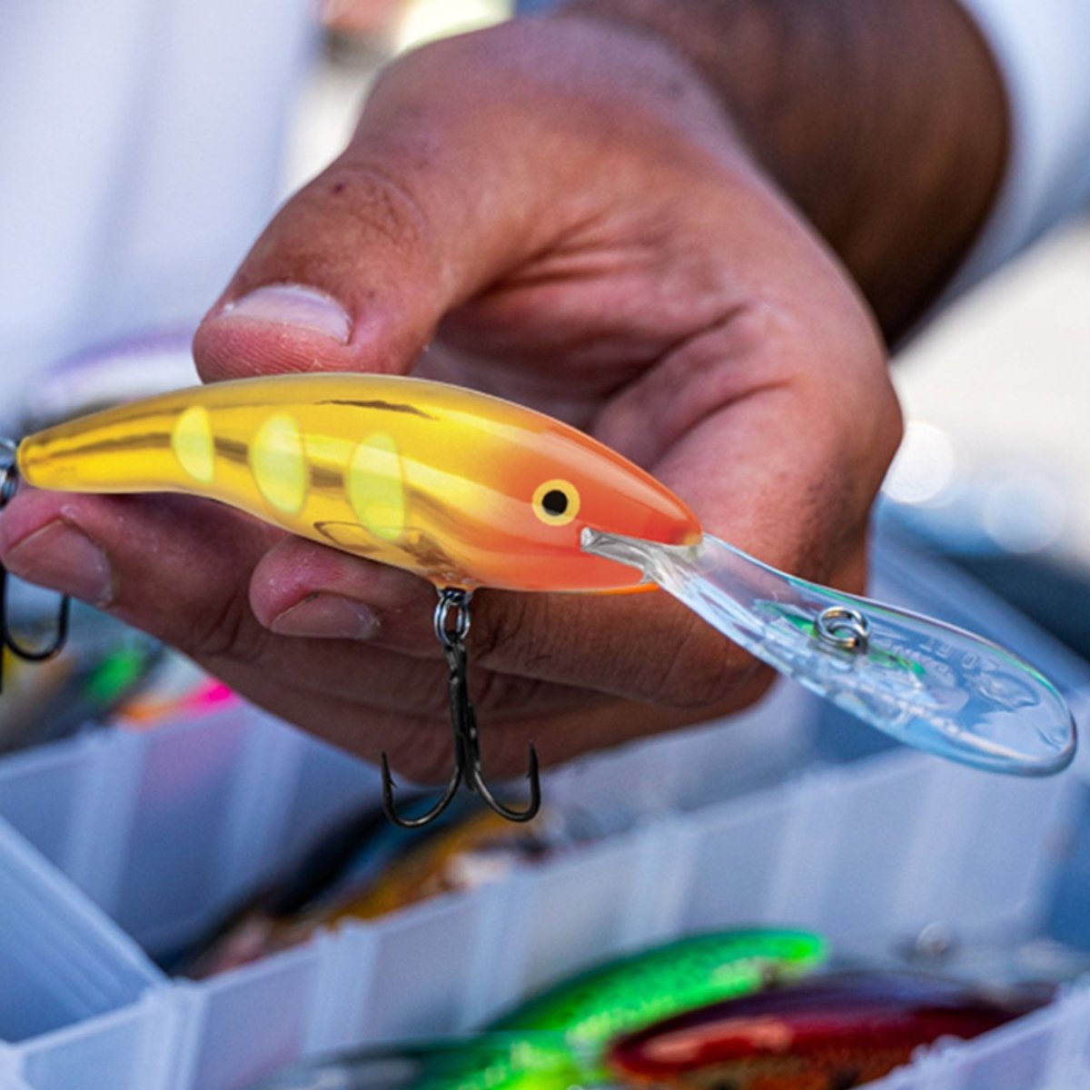 Rapala Deep Tail Dancer 11, Fishing Lure - Forza Sports