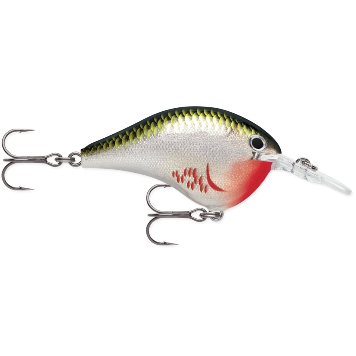 Rapala Dives-To 06 Fishing Lure - Forza Sports
