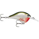 Rapala Dives-To 06 Fishing Lure - Forza Sports