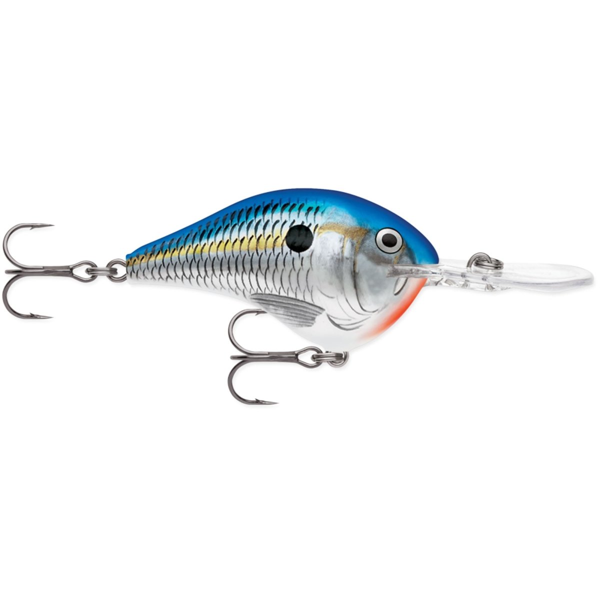 Rapala Dives-To 12, Fishing Lure - Forza Sports