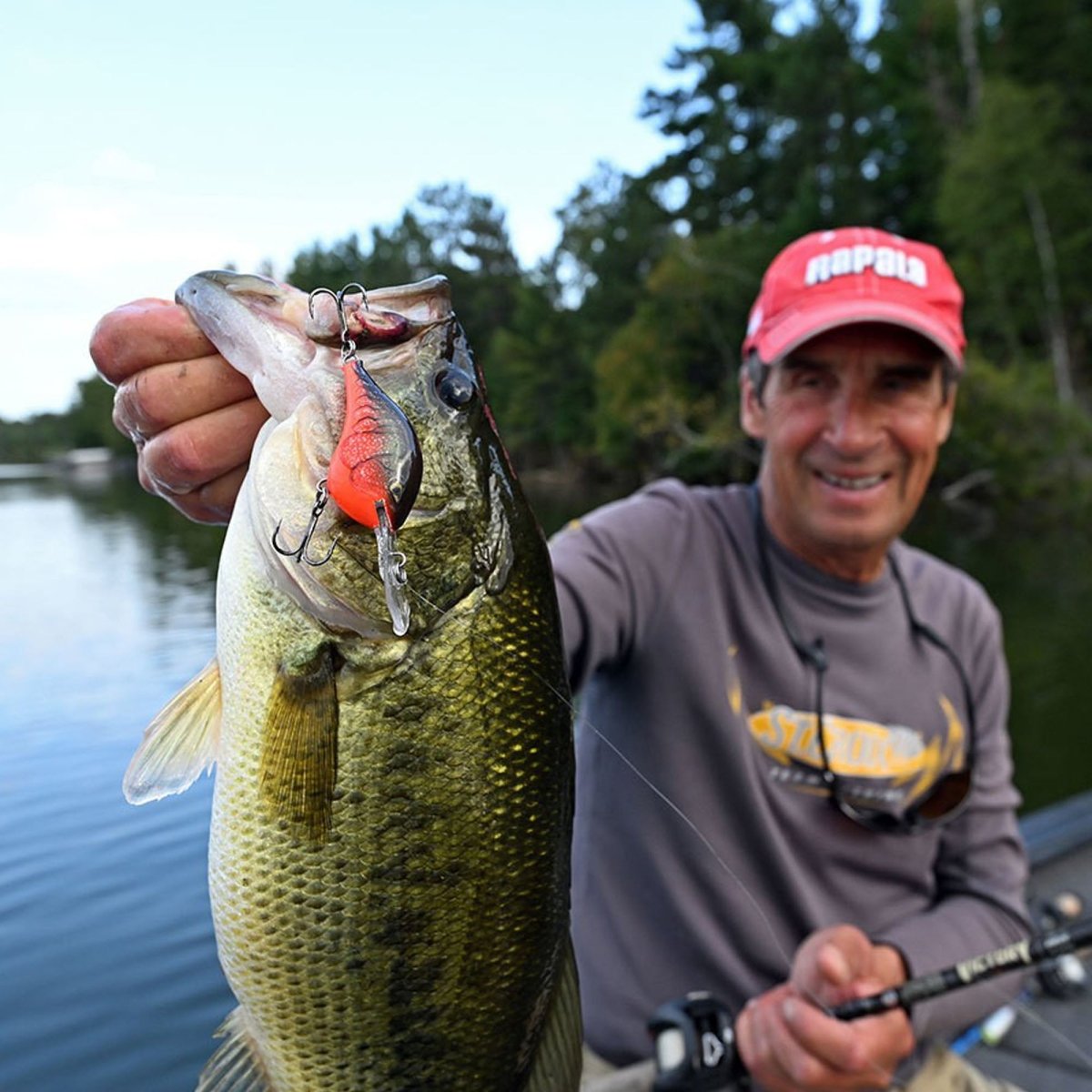 Rapala Dives-To 12, Fishing Lure - Forza Sports