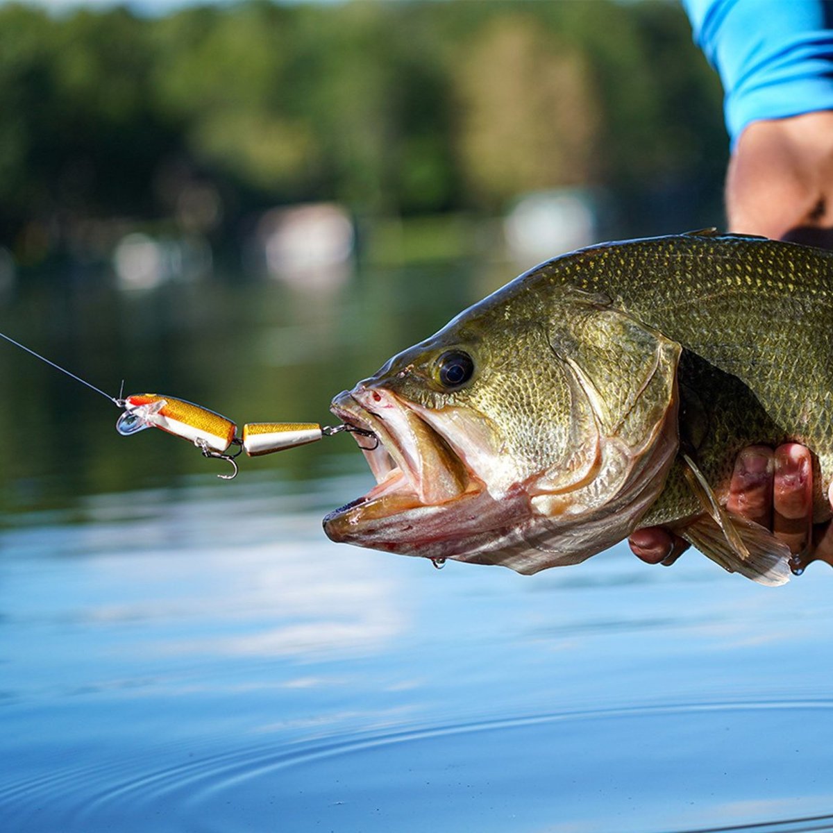 Rapala Jointed J13, Fishing Lure - Forza Sports