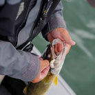 Rapala Jointed Shad Rap 05, Fishing Lure - Forza Sports