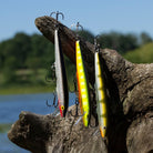 Rapala Original Floating 03, Fishing Lure - Forza Sports