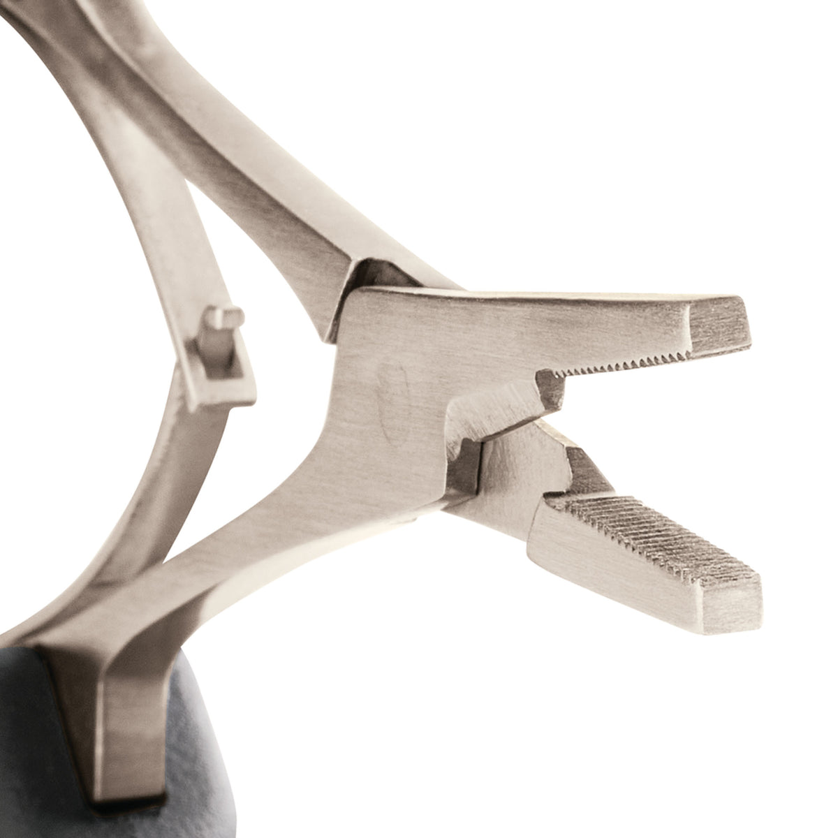 Rapala Precision Forceps 7" - Forza Sports