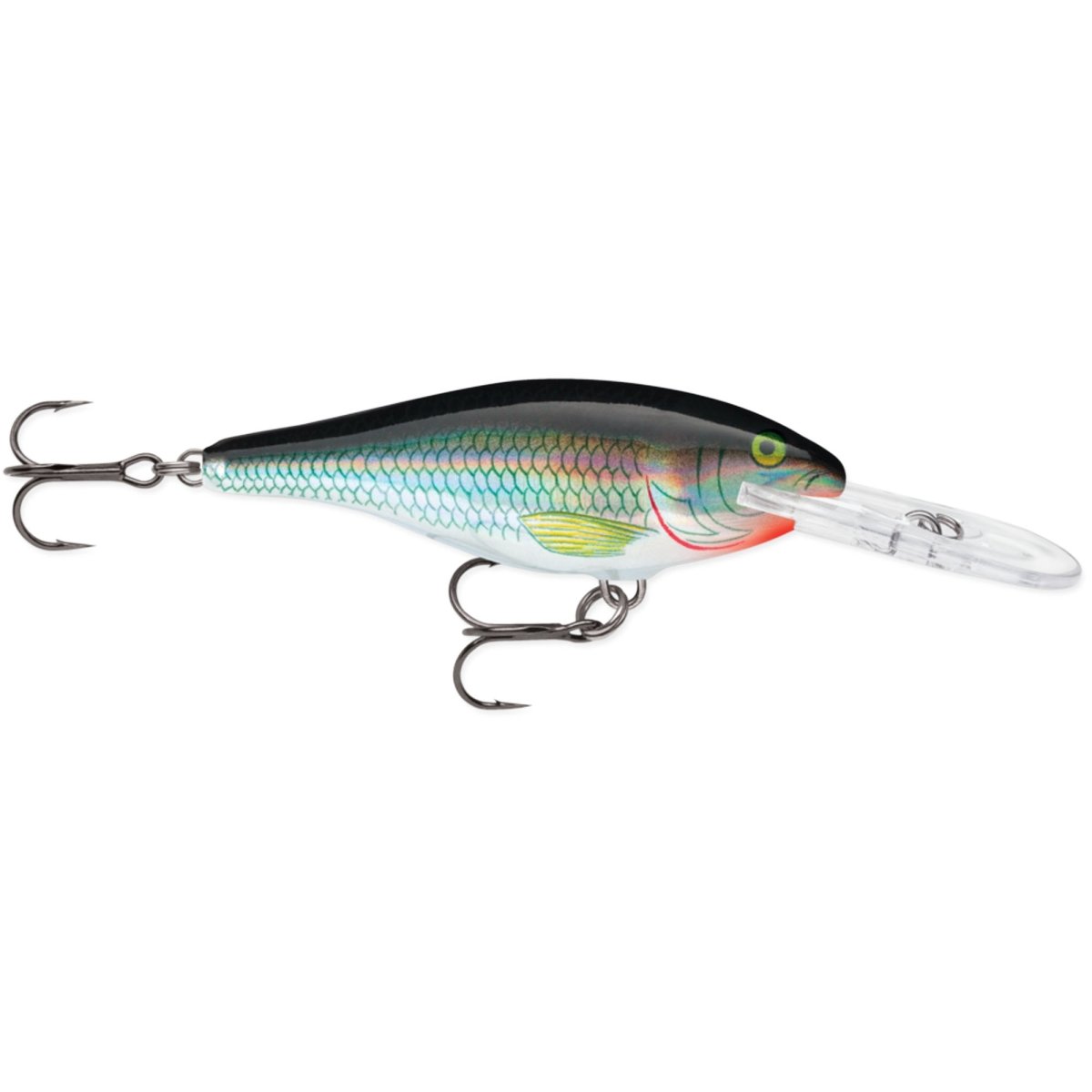 Rapala Shad Rap 06, Fishing Lure - Forza Sports