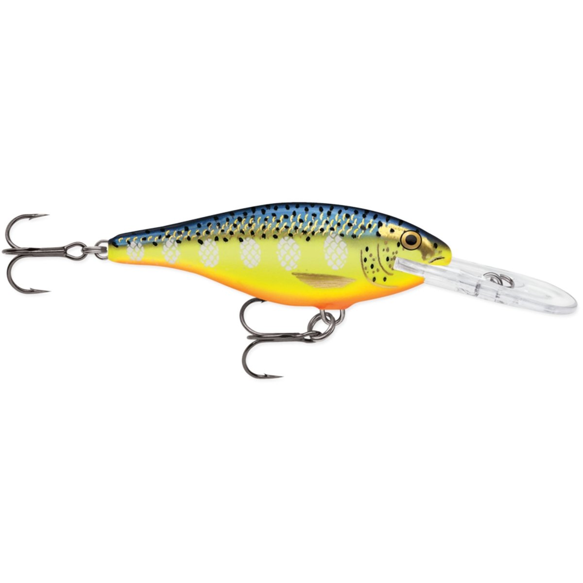 Rapala Shad Rap 06, Fishing Lure - Forza Sports