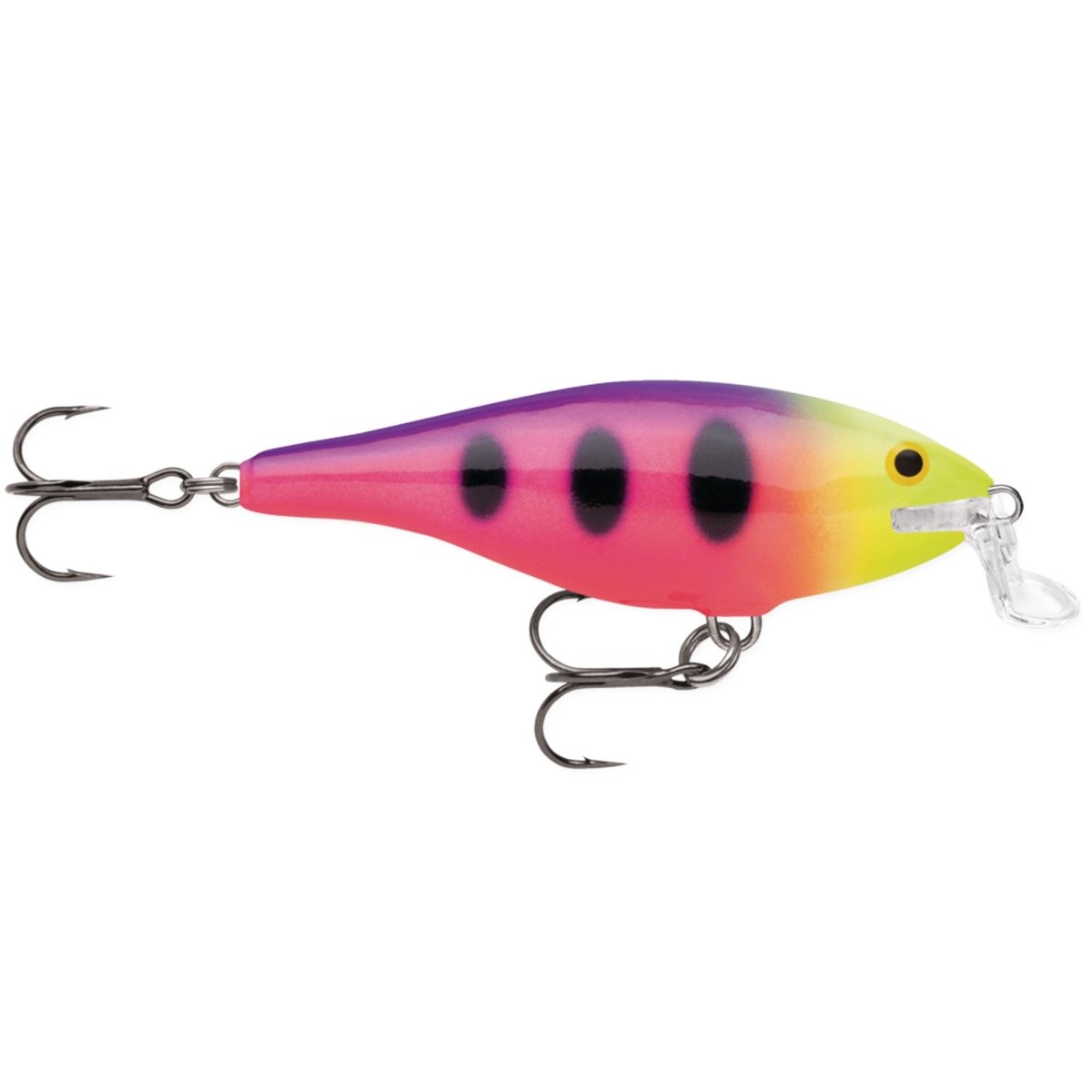 Rapala Shallow Shad Rap 05, Fishing Lure - Forza Sports