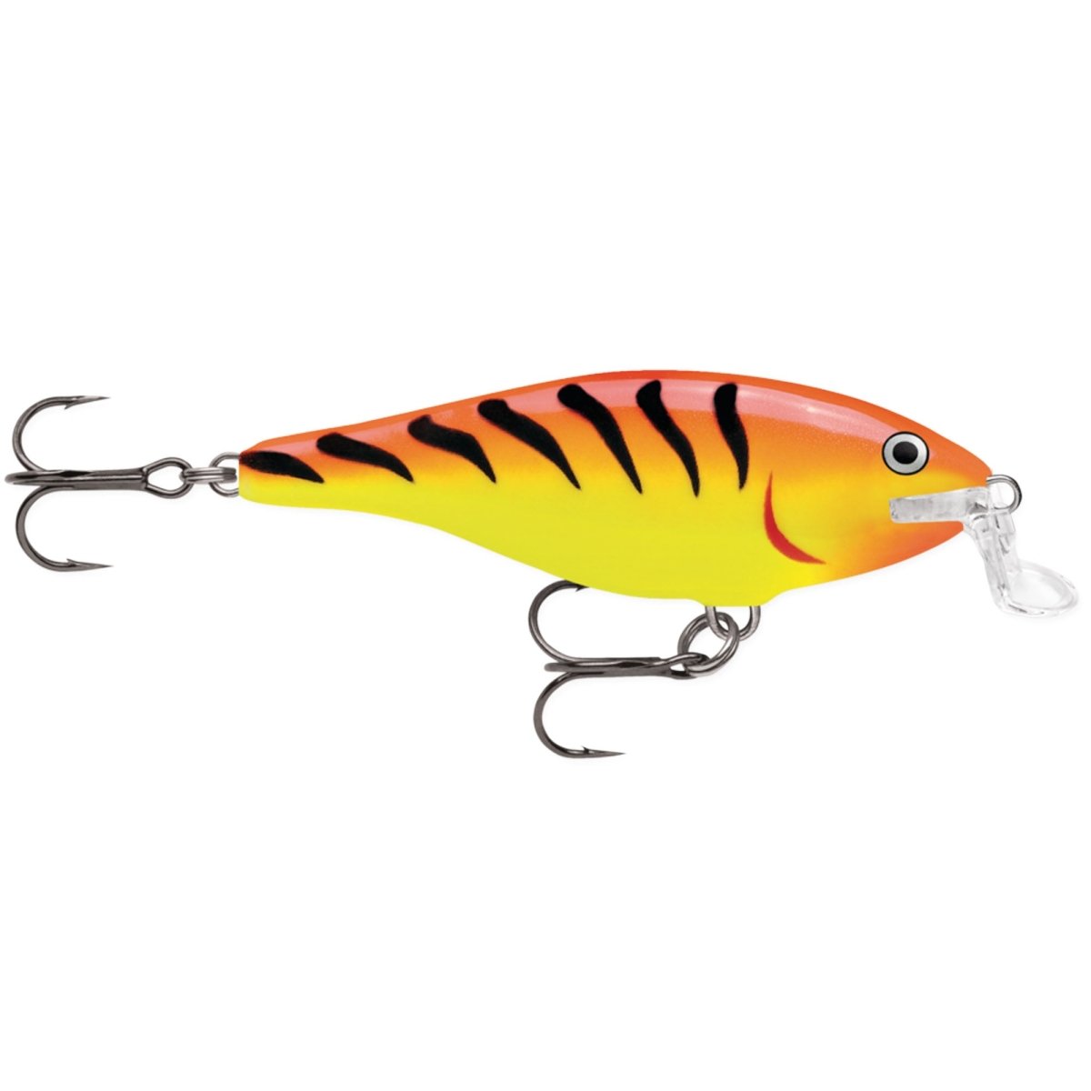 Rapala Shallow Shad Rap 09, Fishing Lure - Forza Sports