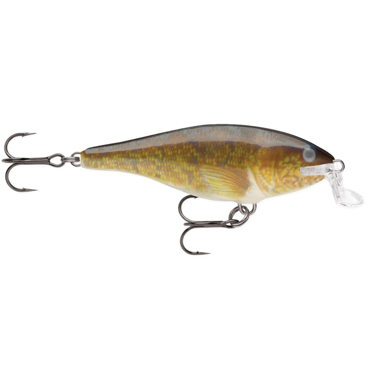Rapala Shallow Shad Rap 05, Fishing Lure - Forza Sports
