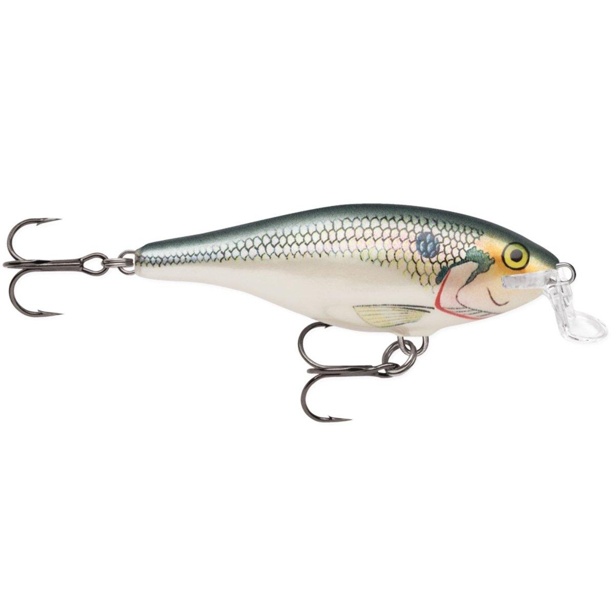 Rapala Shallow Shad Rap 09, Fishing Lure - Forza Sports