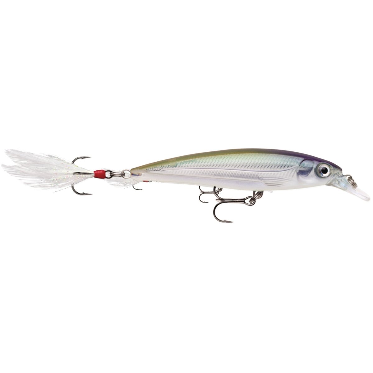 Rapala X-Rap 10, Fishing Lure - Forza Sports