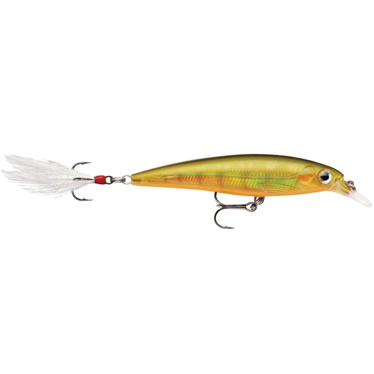 Rapala X-Rap 10, Fishing Lure - Forza Sports