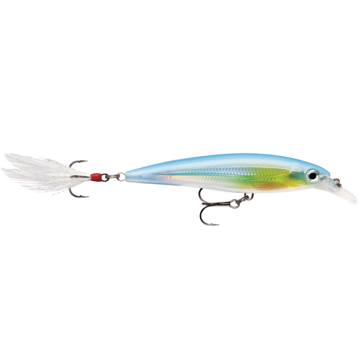 Rapala X-Rap 10, Fishing Lure - Forza Sports