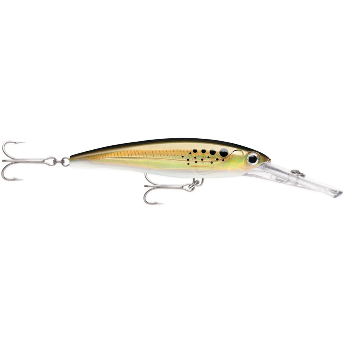 Rapala X-Rap Magnum 15 Fishing Lure, 1-1/8 oz - Forza Sports