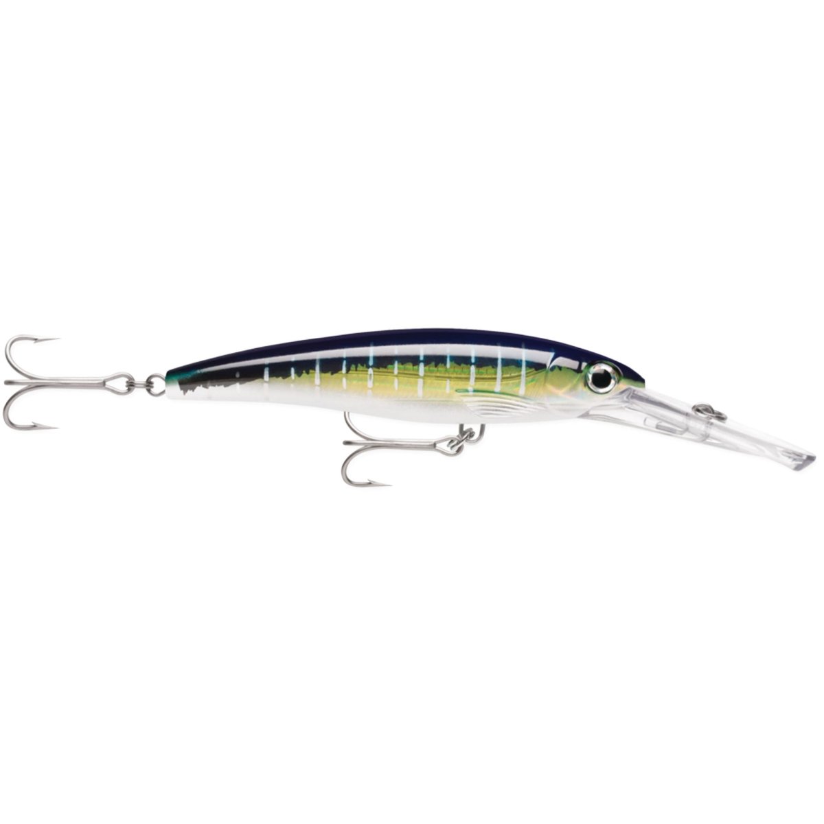 Rapala X-Rap Magnum 15 Fishing Lure, 1-1/8 oz - Forza Sports