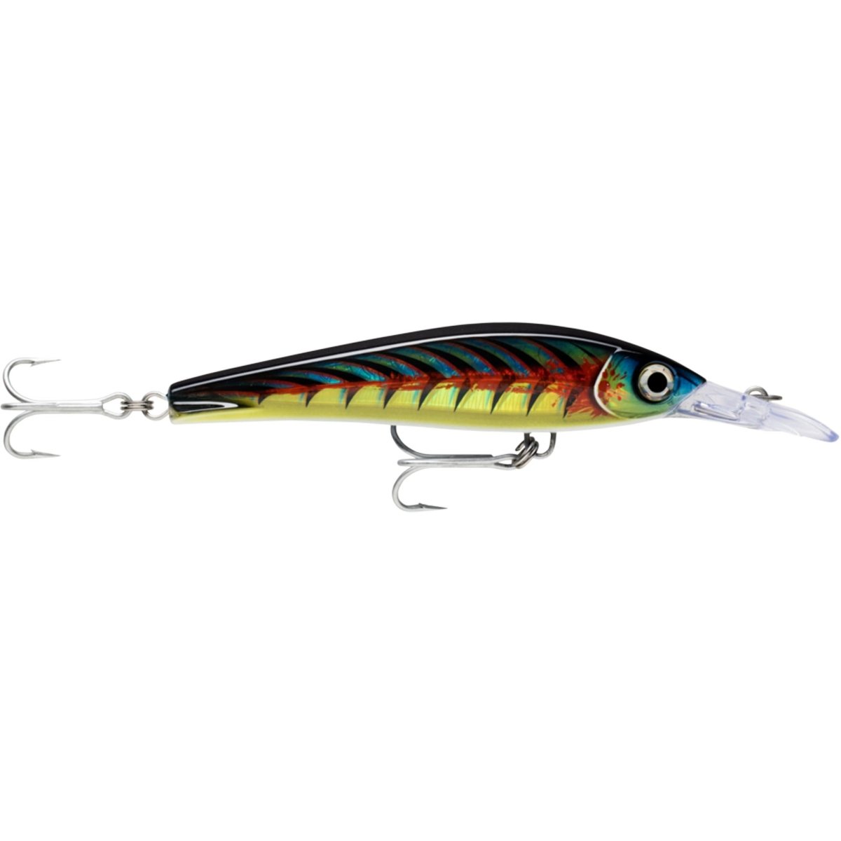 Rapala X-Rap Magum Xtreme 160, Fishing Lure - Forza Sports