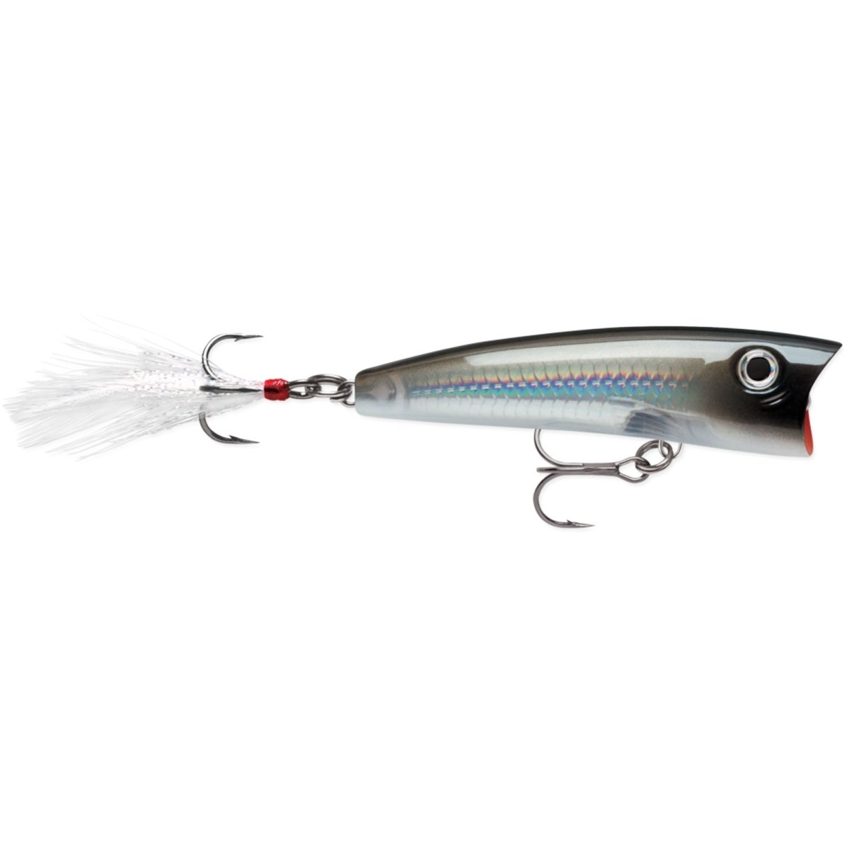 Rapala X-Rap Pop 07, Fishing Lure - Forza Sports
