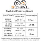Rival Boxing RS11V Evolution Hook and Loop Sparring Gloves 16 oz. Small