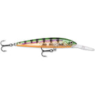 Rapala Down Deep Husky Jerk 12 Fishing Lure Rapala