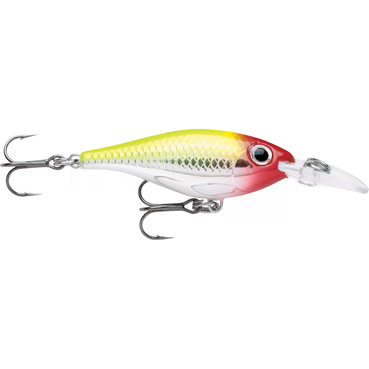 Leurre De Pêche LED Lumineux : Ultra Léger, Pile Longue Durée CR425 – Attire Les Poissons Avec 4 Couleurs (blanc/vert/rouge/bleu)