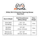 Rival Boxing RS11V Evolution Hook and Loop Sparring Gloves 16 oz. Small
