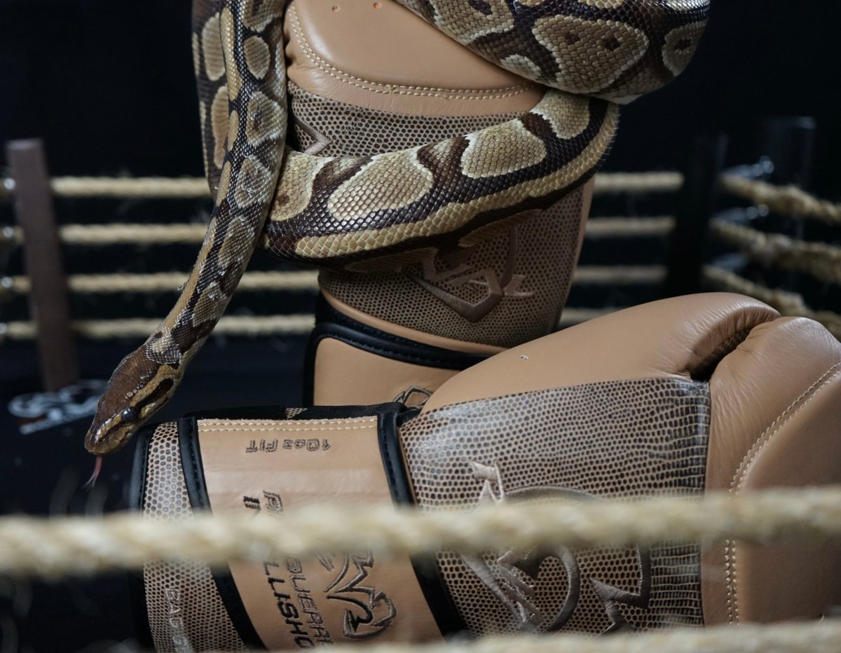 Rival Boxing RFX-Guerrero Intelli-Shock Bag Gloves