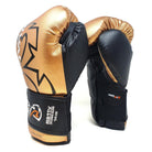 Rival Boxing RS11V Evolution Hook and Loop Sparring Gloves 16 oz. Small