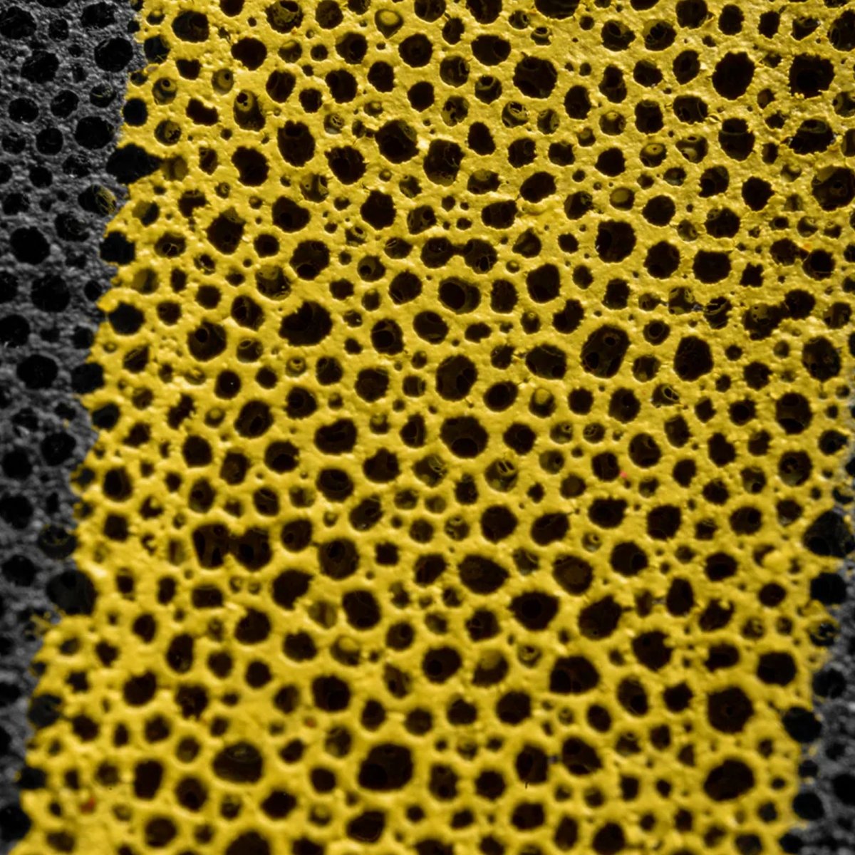 SKLZ Bashhhketball Pro - Forza Sports