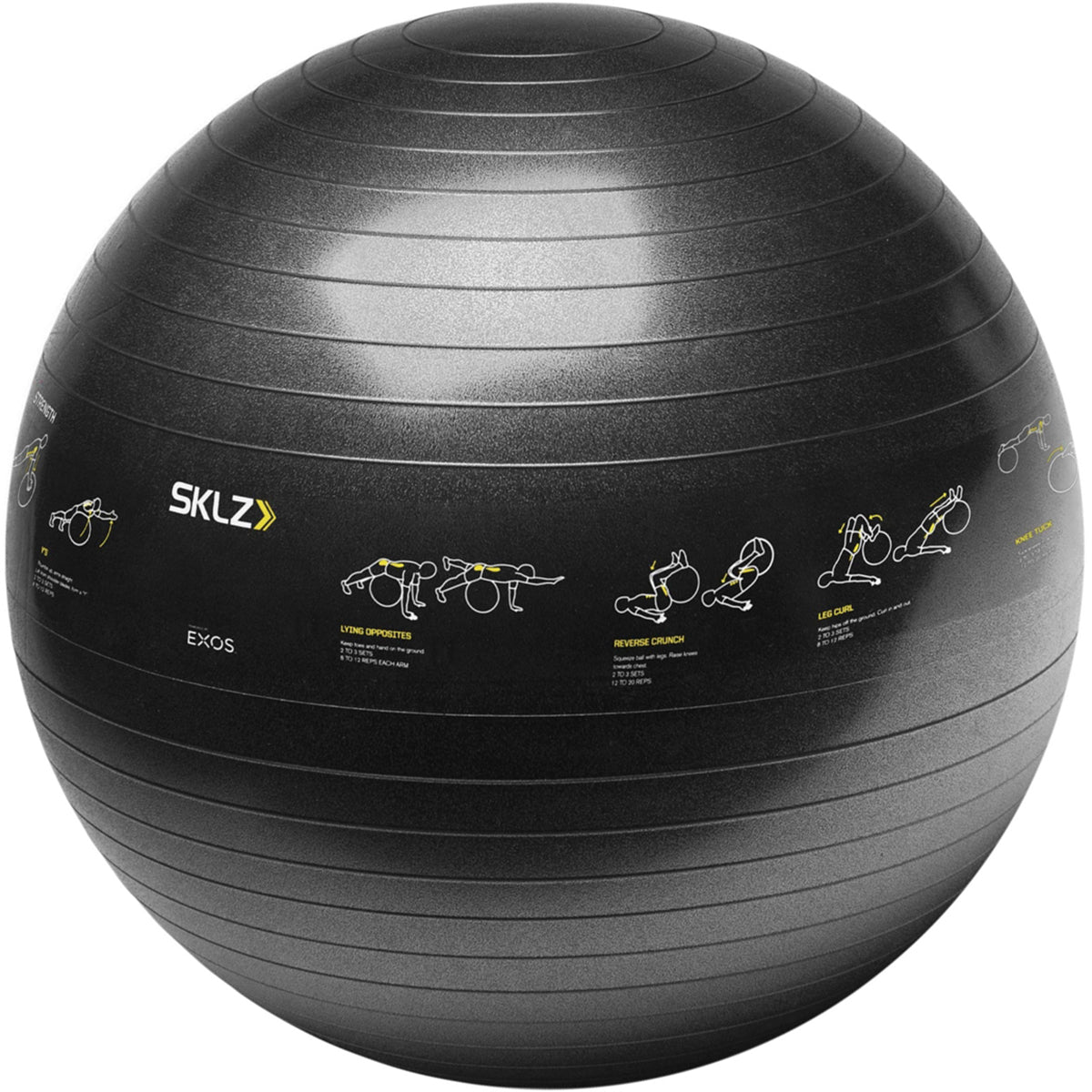 SKLZ एक्सरसाइज ट्रेनर बॉल - काला - फोर्ज़ा स्पोर्ट्स