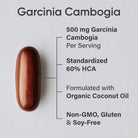 Sports Research Garcinia Cambogia - Forza Sports