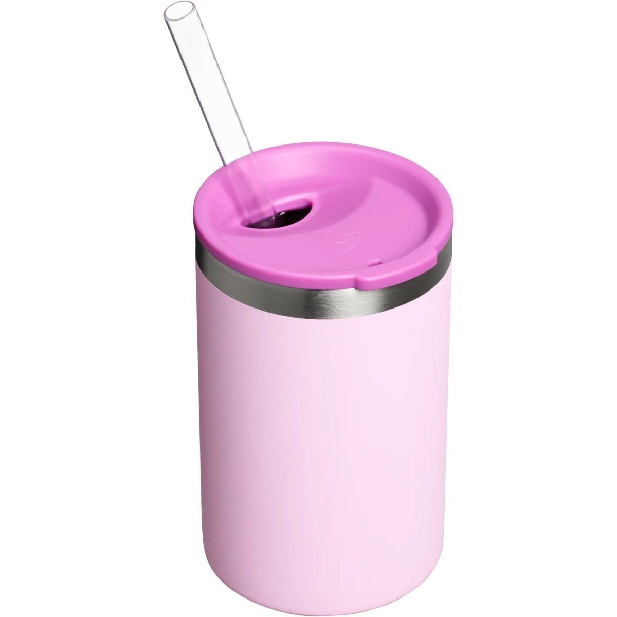 Stanley The Everyday Can Cooler Cup - Forza Sports