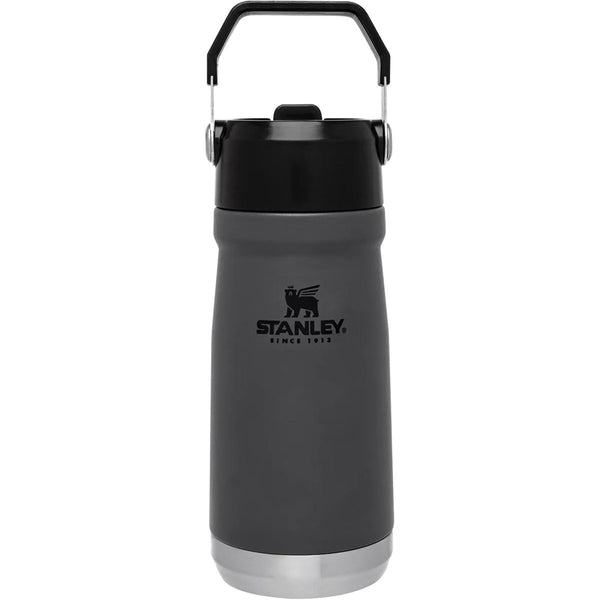 17 ounce to 24 ounce stanley water bottle Stanley 17 oz. IceFlow Flip Straw Water Bottle Charcoal