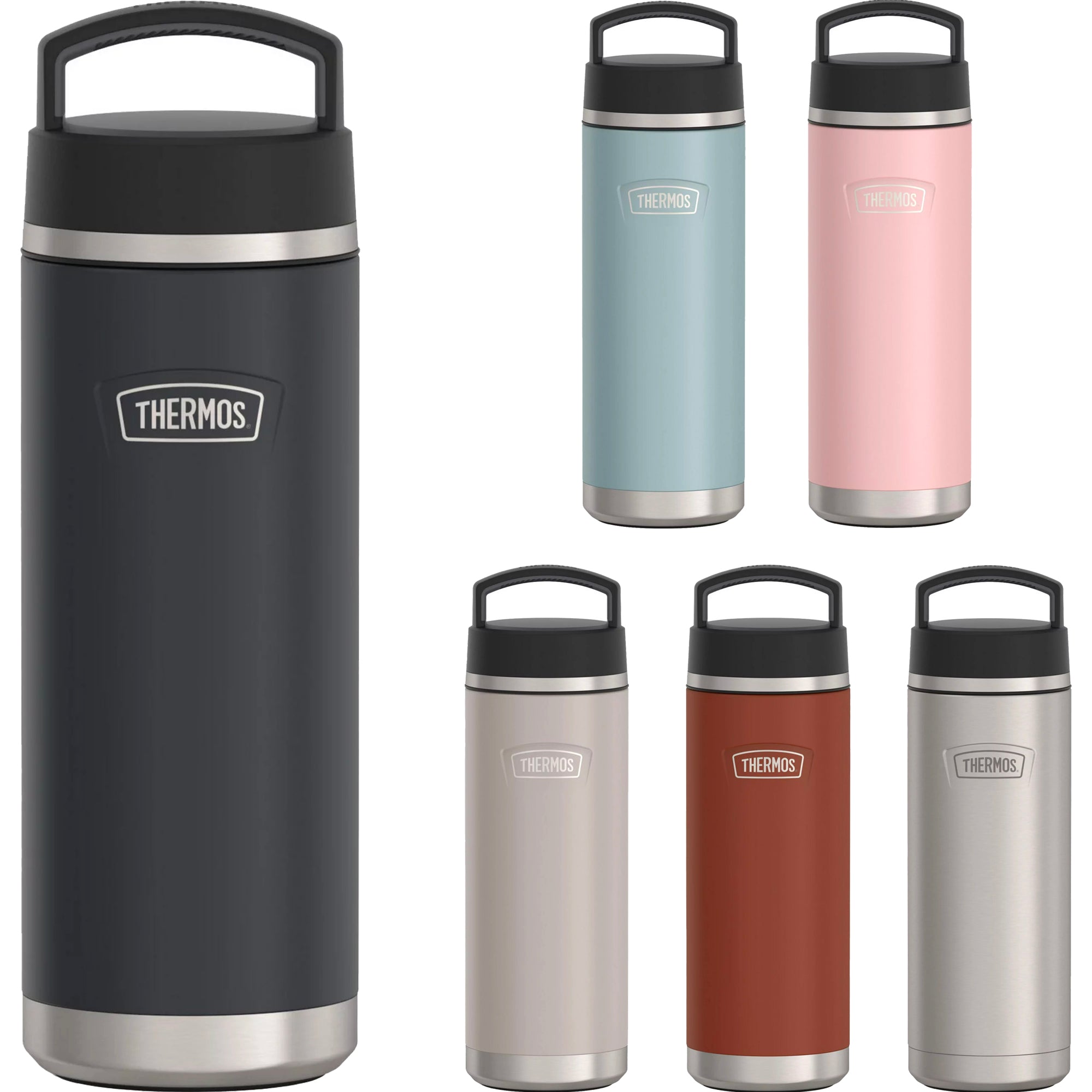 Thermos 24 oz. Icon Insulated Stainless Steel Screw Top Water Bottle Thermos