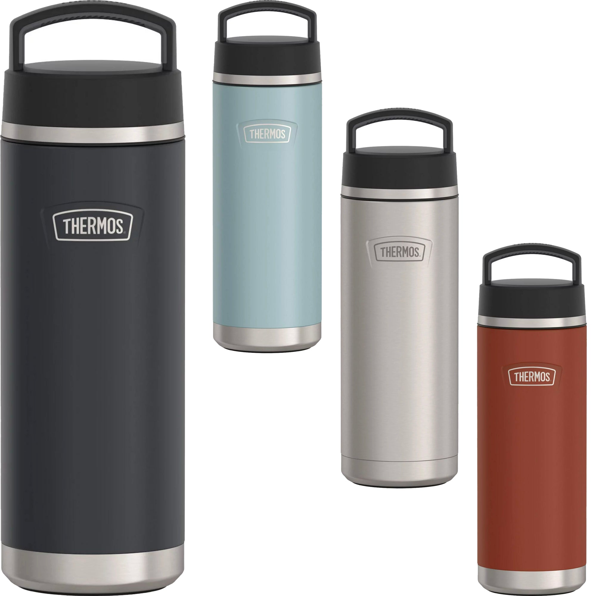 Thermos 32 oz. Icon Insulated Stainless Steel Screw Top Water Bottle Thermos