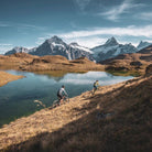 Vaude Aquarius Hydration Bladder Tube Cleaning Brush - Forza Sports